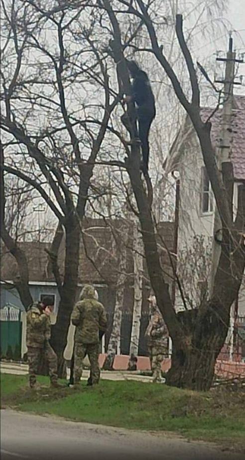 В Одессе мужчины убегают от тэцэкашников на деревья