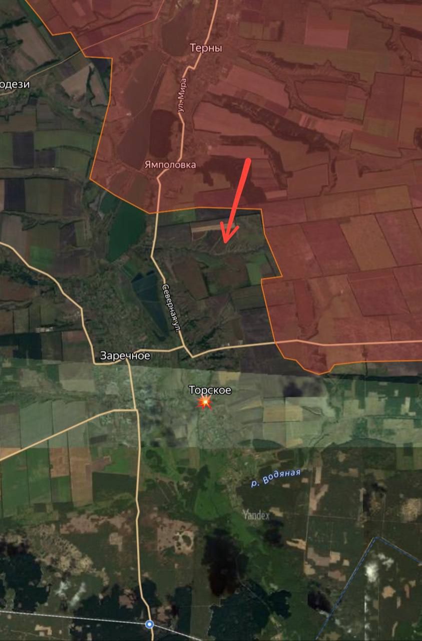 29.03.2025 "Назревает беда!" Горы трупов, реальная обстановка в приграничье Белгородской области, хорошие новости с Донбасса: сводки с фронта Украины сейчас, карта боевых действий с городами и поселками