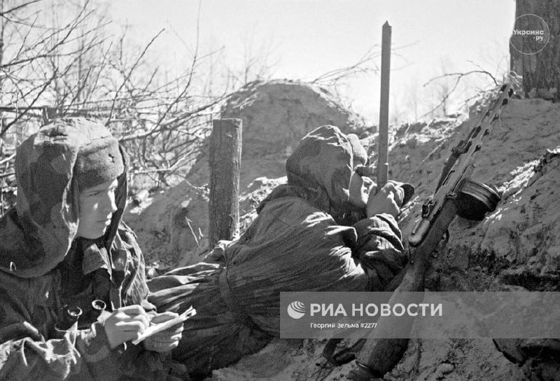 29.03.2025 "Назревает беда!" Горы трупов, реальная обстановка в приграничье Белгородской области, хорошие новости с Донбасса: сводки с фронта Украины сейчас, карта боевых действий с городами и поселками