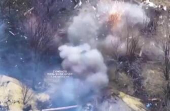 25.03.2025 Героический штурм ВС РФ в Торецке, ликвидация боевиков в Херсонской области, ситуация на Покровском фронте. Военные сводки СВО, карта боевых действий на Украине сегодня